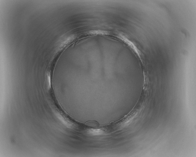 X0000115560061200911201831