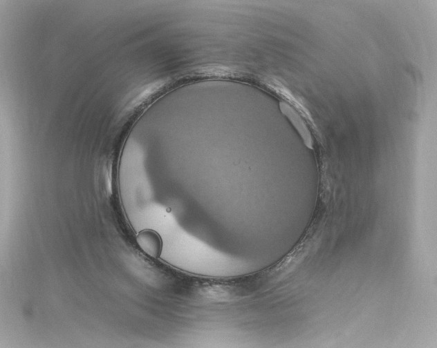 X0000115560062200911201831