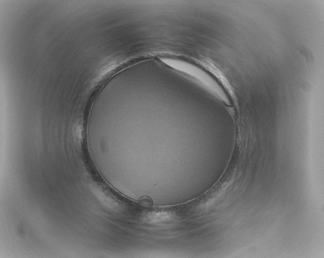 X0000115560063200911201831