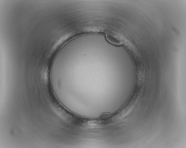 X0000115560064200911201831