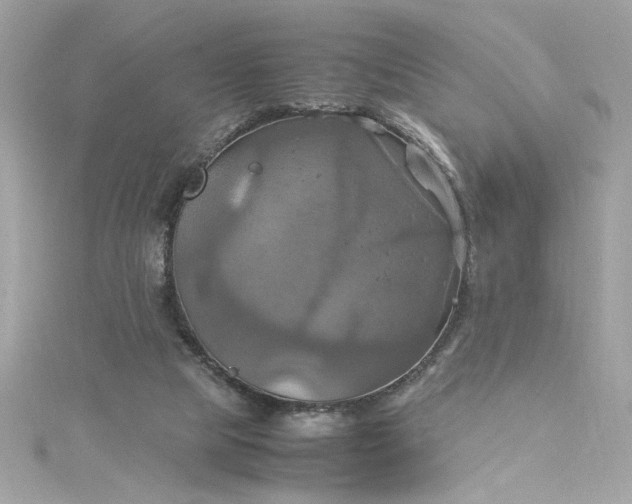 X0000115560065200911201831