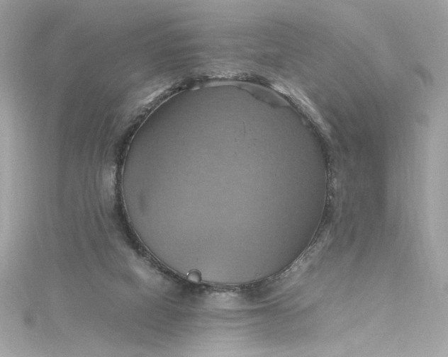 X0000115560066200911201831