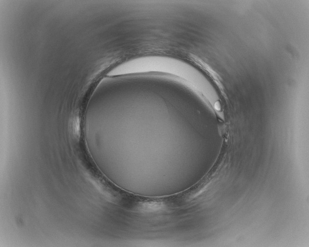 X0000115560067200911201831