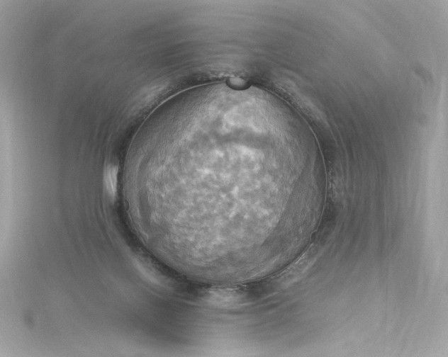 X0000115560070200911201831