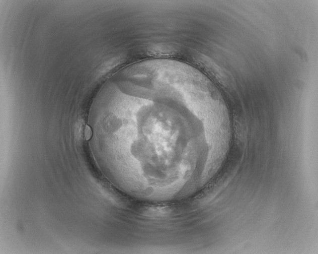 X0000115560071200911201831