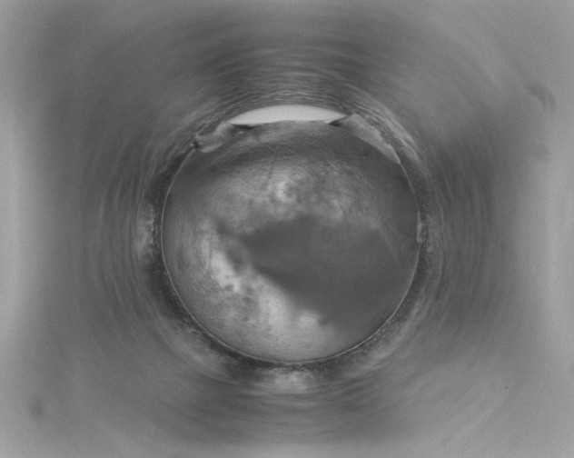 X0000115560073200911201831