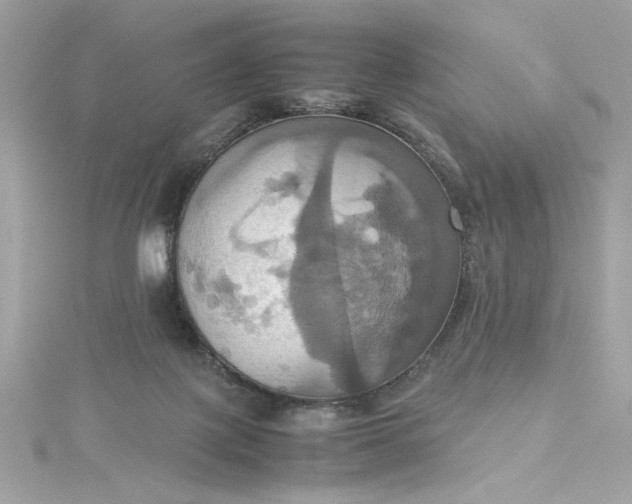 X0000115560075200911201831