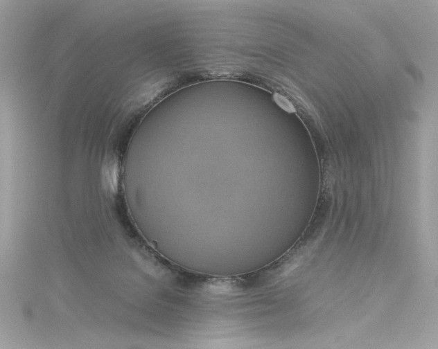 X0000115560076200911201831