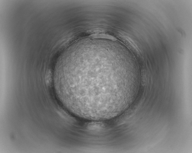 X0000115560077200911201831