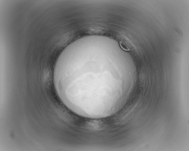 X0000115560079200911201831