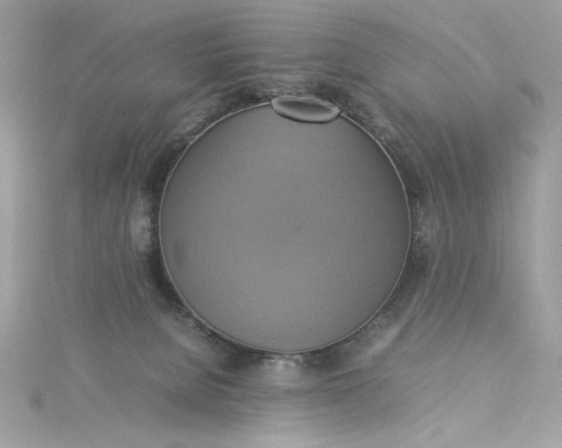 X0000115560080200911201831