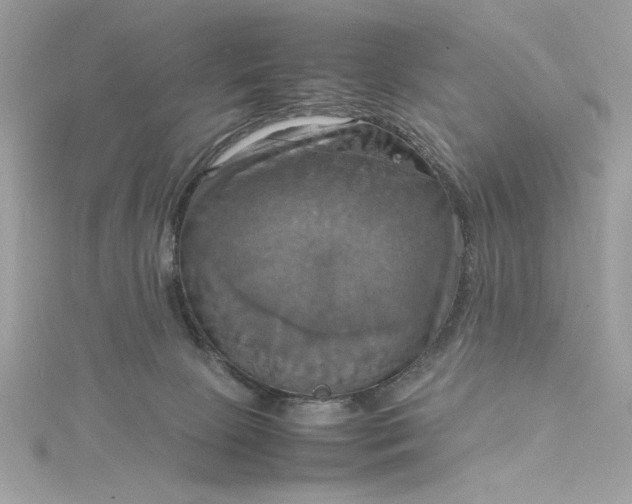 X0000115560081200911201831