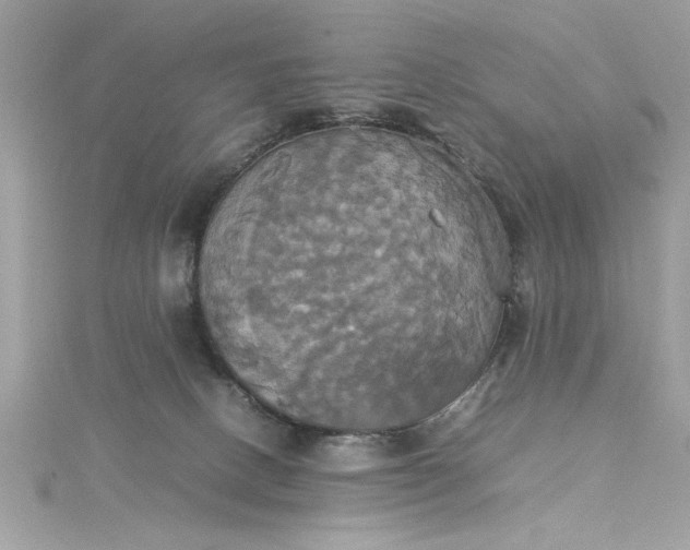 X0000115560082200911201831