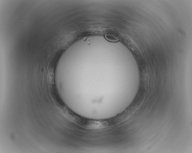 X0000115560083200911201831