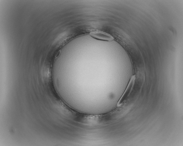 X0000115560084200911201831