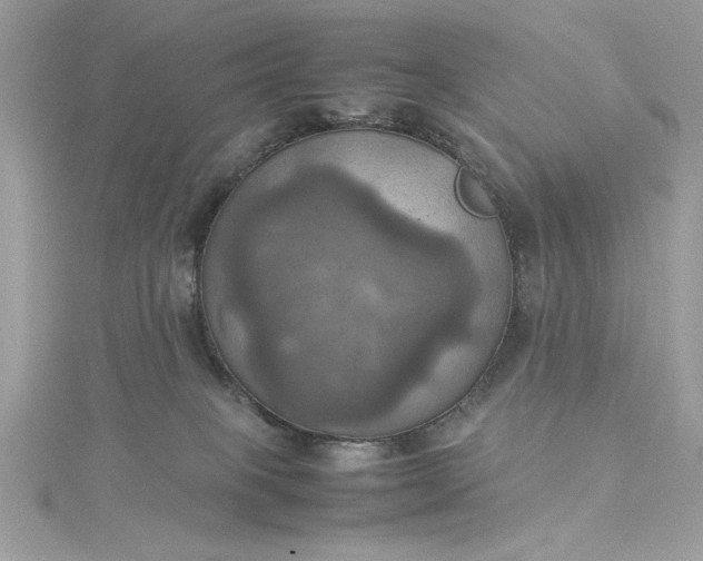 X0000115560085200911201831