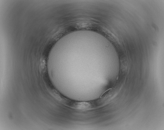 X0000115560087200911201831