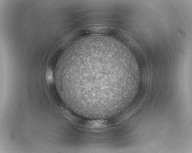 X0000115560089200911201831