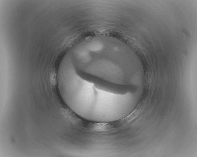 X0000115560090200911201831