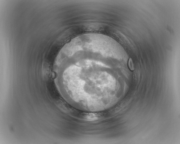 X0000115560091200911201831