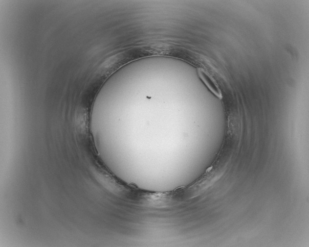 X0000115560092200911201831