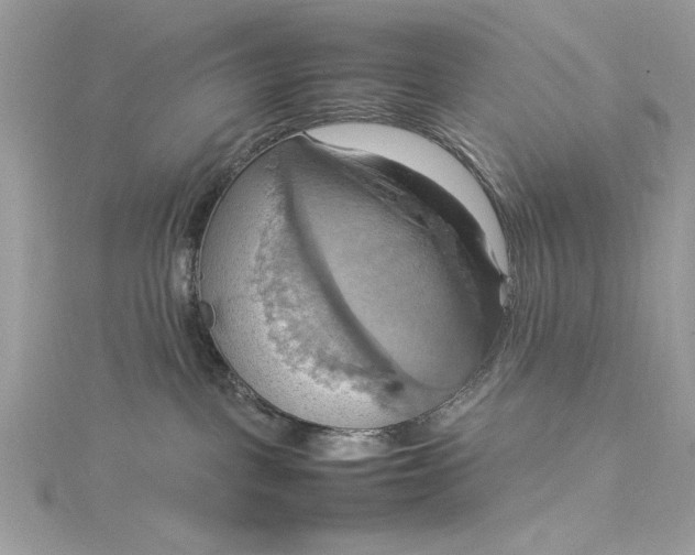 X0000115560093200911201831