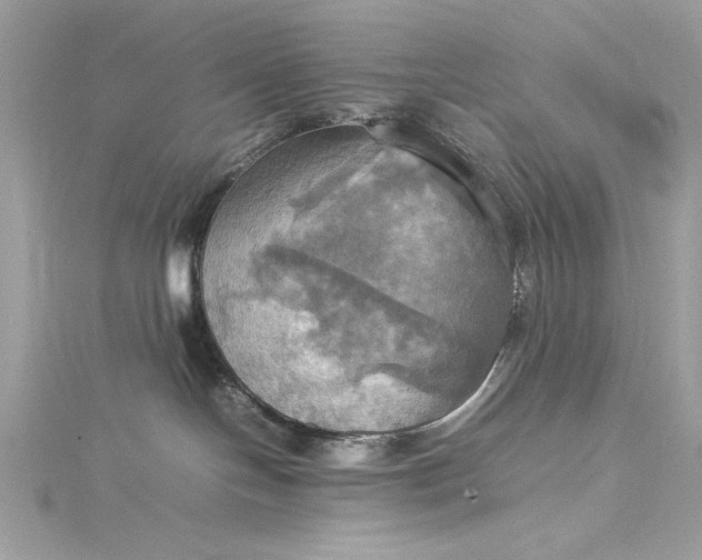 X0000115560094200911201831