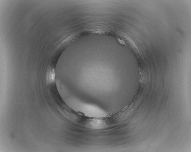 X0000115560095200911201831