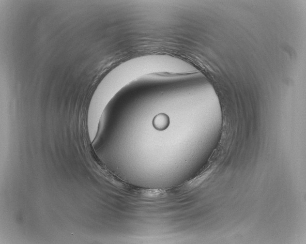 X0000115560096200911201831