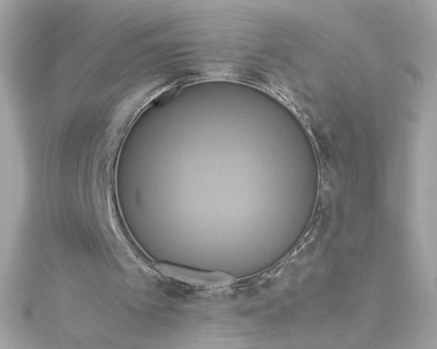 X0000115560097200911201830