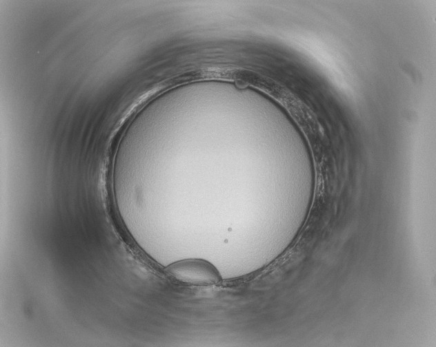 X0000115560098200911201830