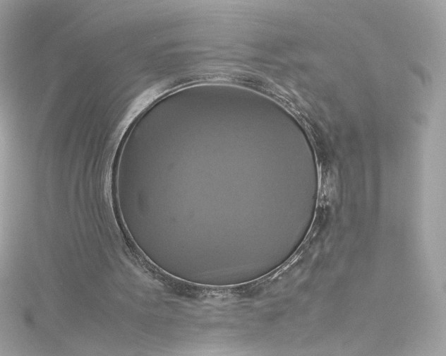 X0000115560099200911201830