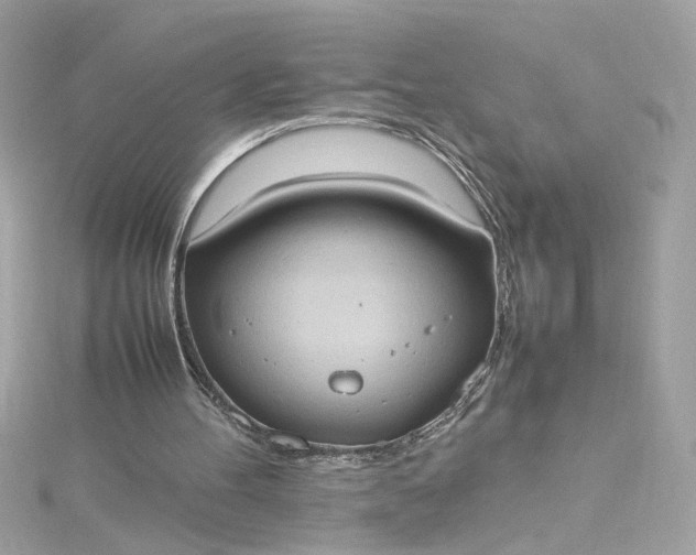 X0000115560100200911201830