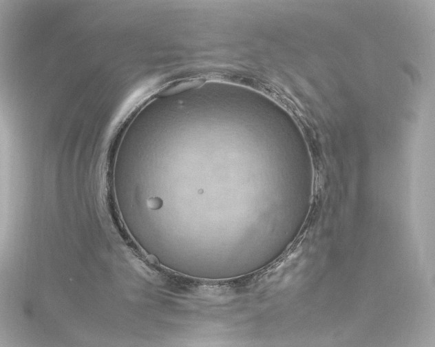 X0000115560101200911201830