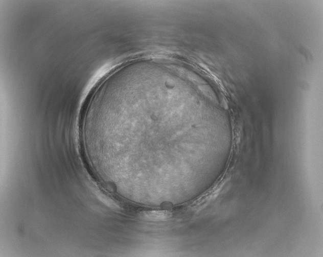 X0000115560102200911201830