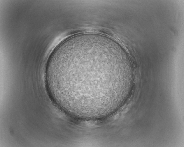 X0000115560103200911201830