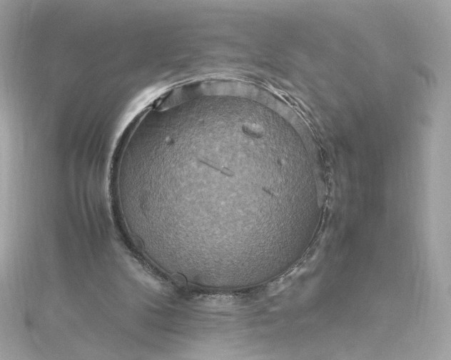 X0000115560104200911201830