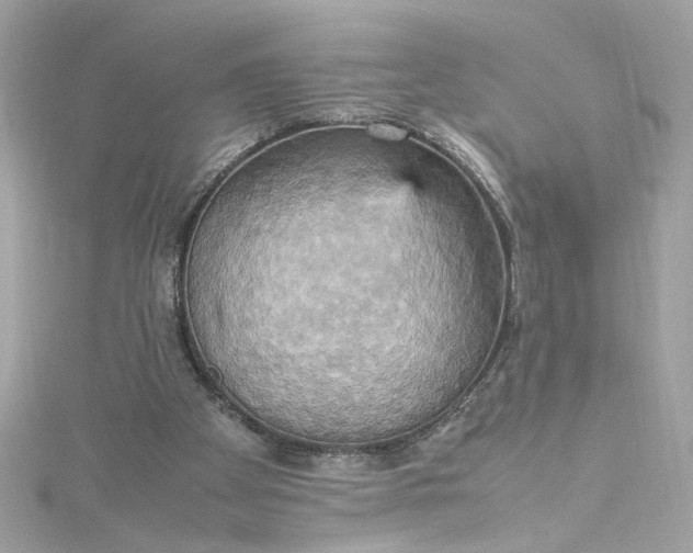 X0000115560105200911201830