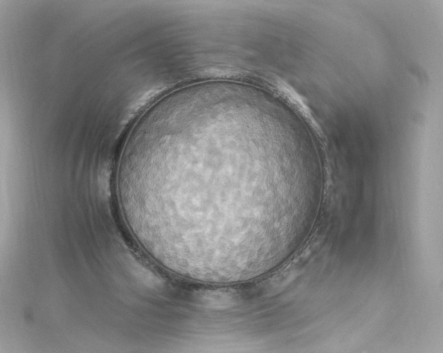 X0000115560106200911201830