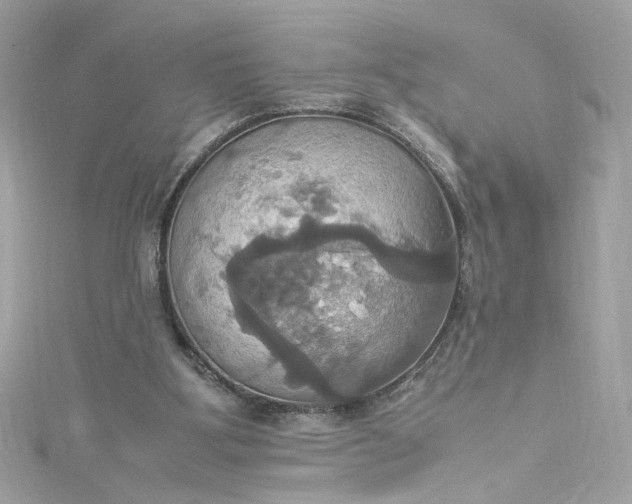 X0000115560107200911201830