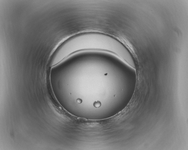 X0000115560108200911201830