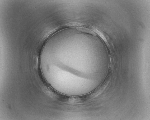 X0000115560109200911201830