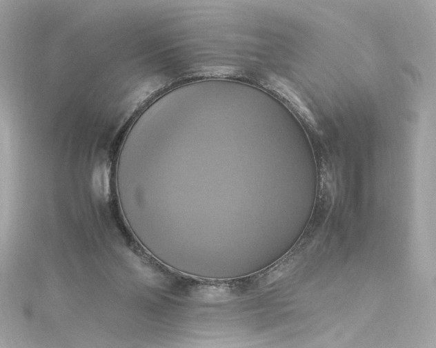 X0000115560110200911201830