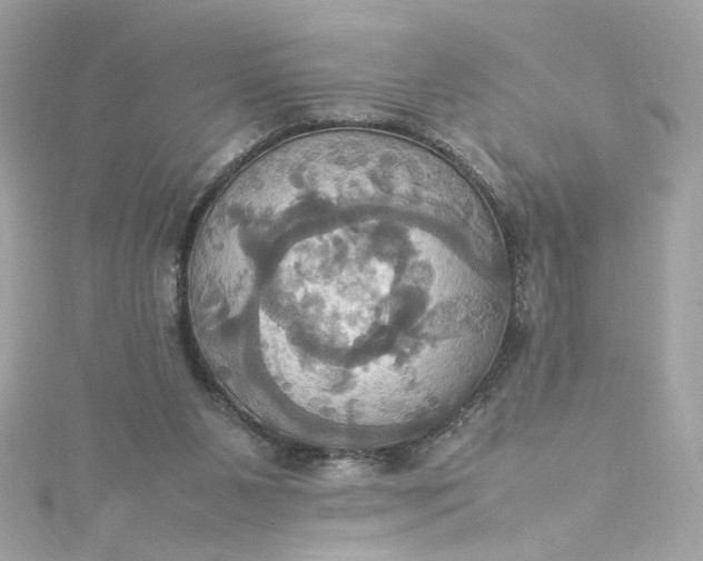 X0000115560111200911201830