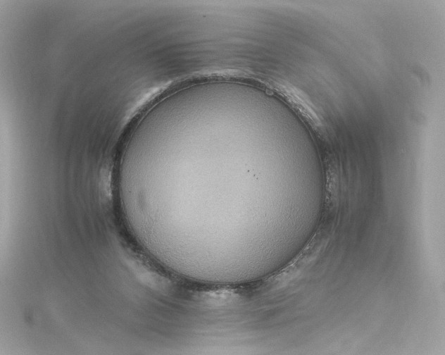 X0000115560112200911201830