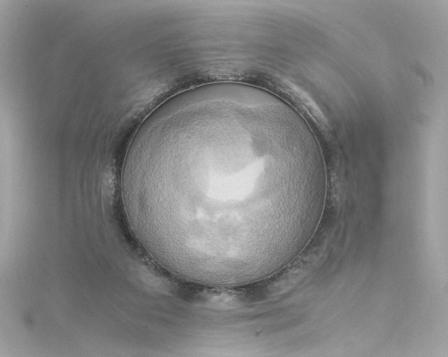 X0000115560113200911201830