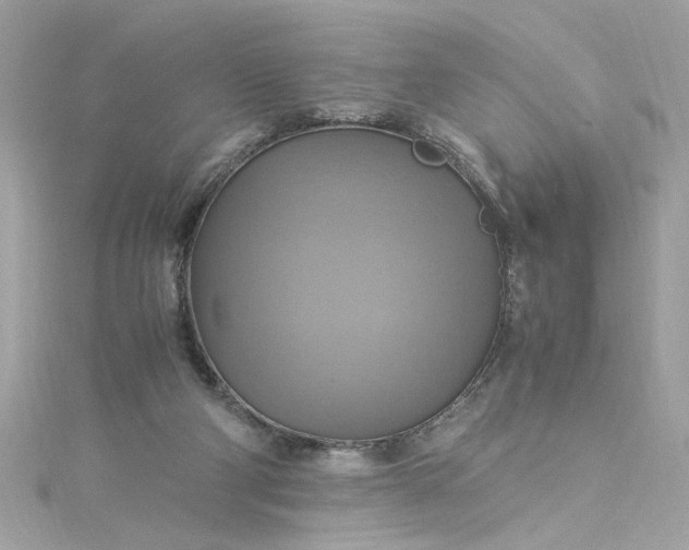 X0000115560114200911201830