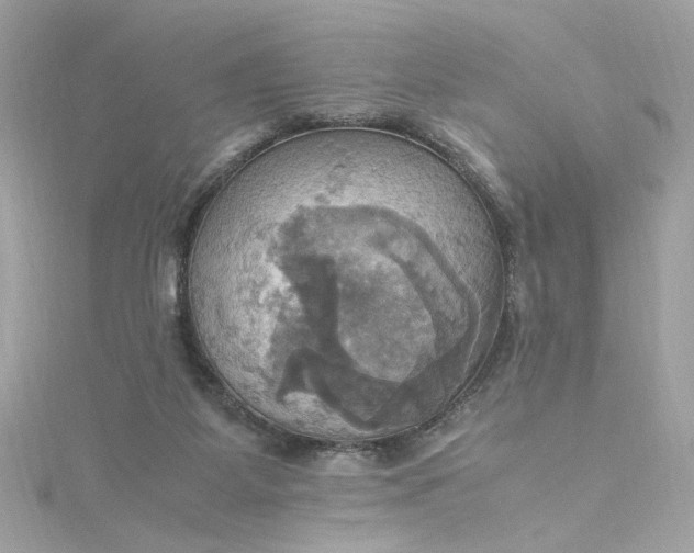 X0000115560115200911201830