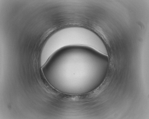 X0000115560116200911201830