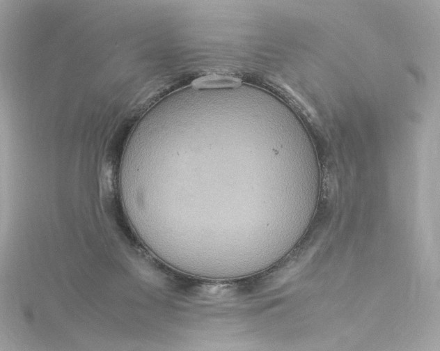 X0000115560117200911201830